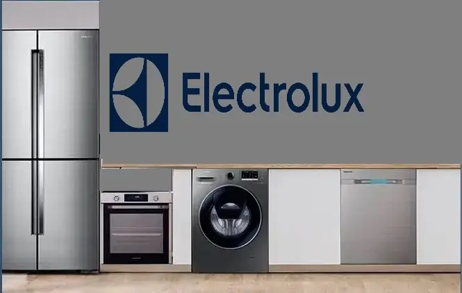 Ataşehir Electrolux servisi