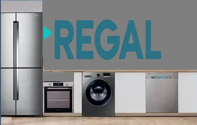Ataşehir Regal servisi